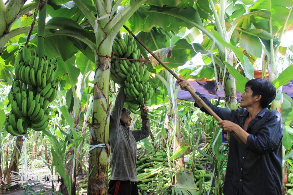 Tham gia khoá hướng dẫn để trở thành chuyên gia