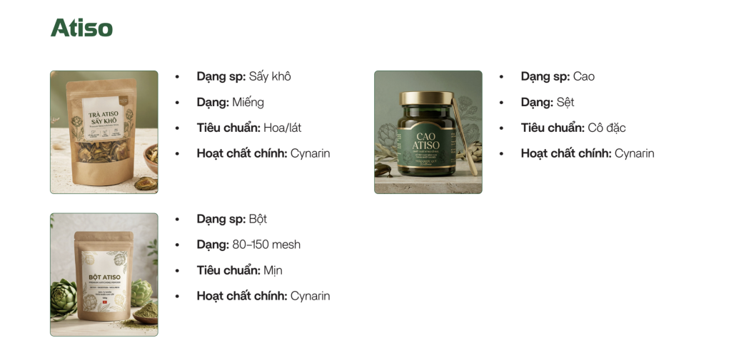 Danh mục sản phẩm atiso gồm atiso sấy lạnh, bột atiso và cao atiso tại Sao Thần Nông