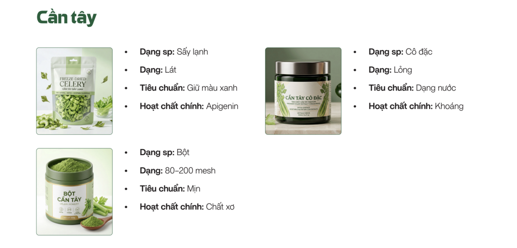 Danh mục sản phẩm cần tây gồm cần tây sấy lạnh, bột cần tây và cần tây cô đặc tại Sao Thần Nông