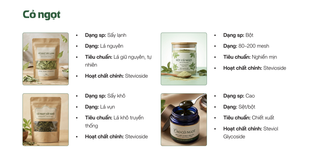 Danh mục sản phẩm cỏ ngọt Stevia gồm cỏ ngọt sấy lạnh, sấy khô, dạng bột và dạng cao tại Sao Thần Nông